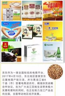 中国绿色食品产业营销模式 进入新时代 黑龙江丰收季 启动